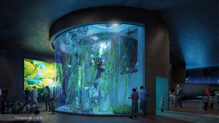 acuario